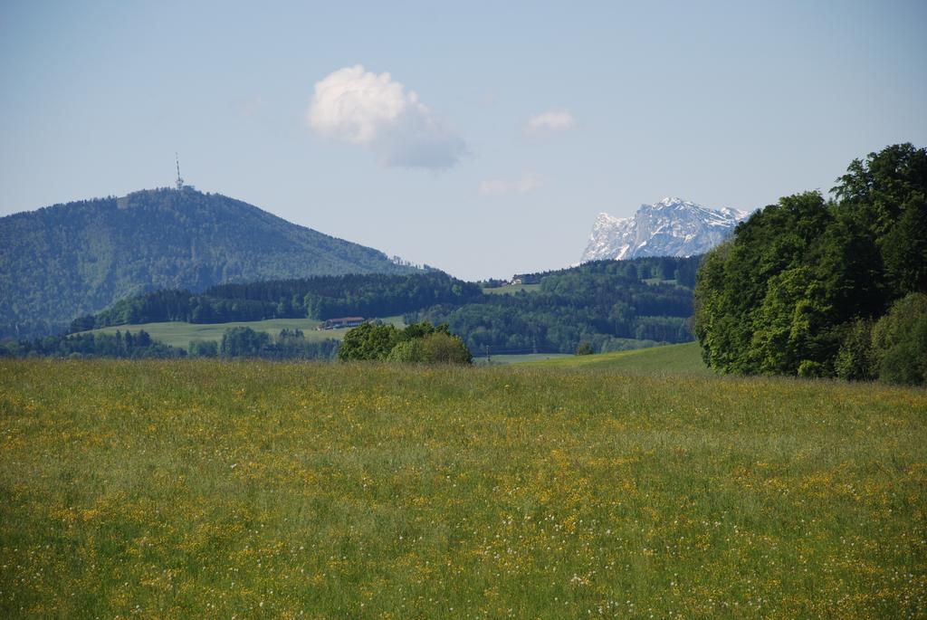 Landhaus Brieger Henndorf am Wallersee Exteriör bild